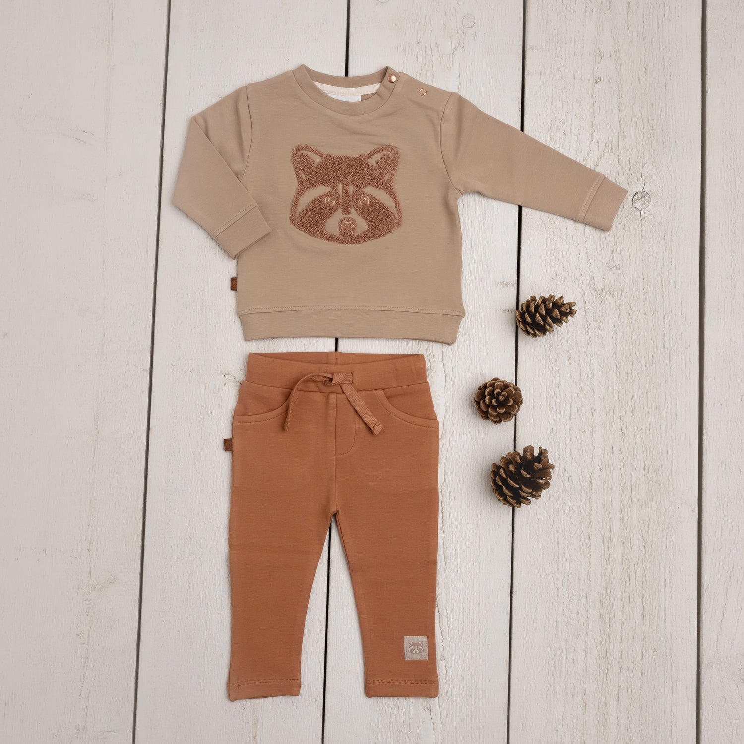 Frogs & Dogs Sweater Raccoon Taupe “ Raccoon Club “ 24082003