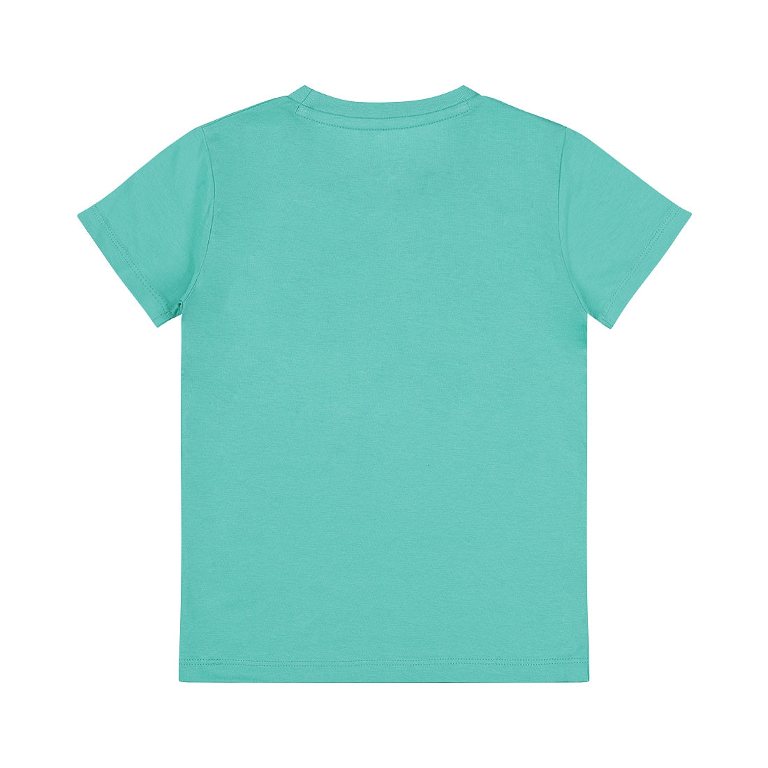 Dirkje T-shirt Hawaï Limited Aqua Green RX50532